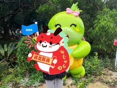 -广东惠东海龟国家级自然保护区