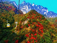 -秦岭天竺山景区