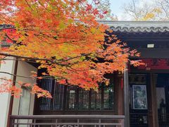 -惠山古镇·寄畅园