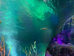 -沈阳海洋探索中心