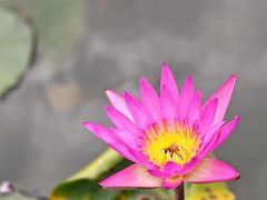 -星巴克(深圳前海企业公馆店)