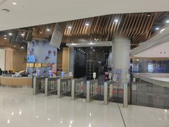 -TheRink大零溜冰场(IFS国金中心店)