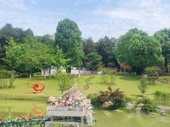 -铁山坪森林公园