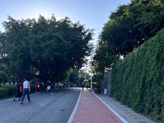 -仙岳公园