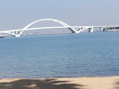 -五缘湾湿地公园