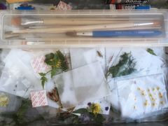 -北马山庄植趣咖啡