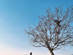 -钟山体育运动公园