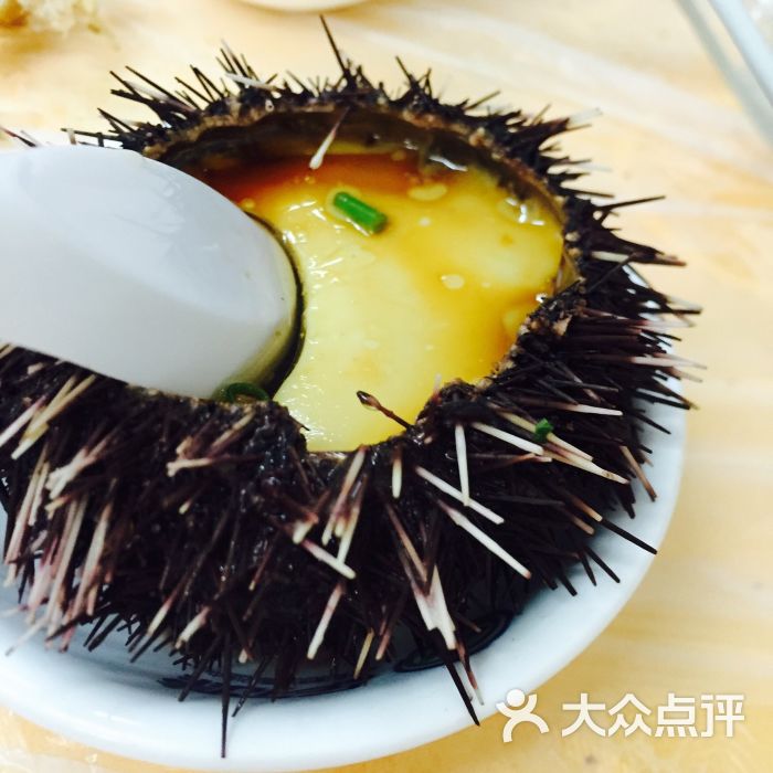 林姐香味海鲜加工店(18年老店)-海胆蒸蛋图片-三亚美食-大众点评网