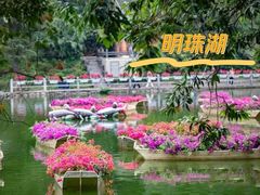 -广州市白云山风景名胜区