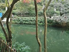 -岳麓山风景名胜区