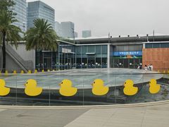 -皇庭广场(福华三路店)