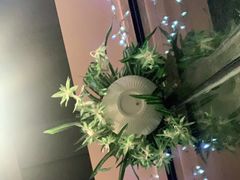 -意成料理
