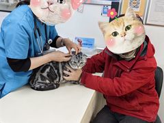 -宠颐生中康贝怡动物医院
