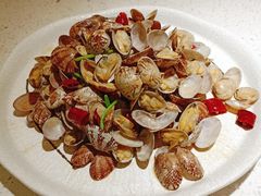 辣炒蛤蜊-船歌·鱼水饺青岛菜(金狮广场店)