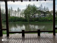 -新江湾城公园