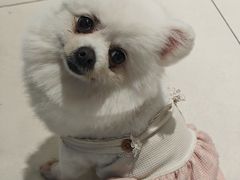 -怪兽屋·羊驼·猫咖·狗咖(俊华广场店)