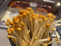 -海底捞火锅(南京红山常发广场店)