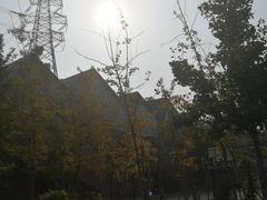 -中国艺术研究院油画院