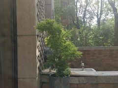 -双季花艺园艺市场(浦东店)