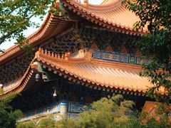 -西安大兴善寺
