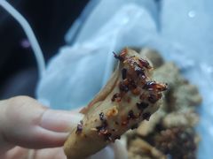 -老王豆皮