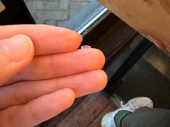 -颐和•海鲜砂锅粥•啫啫煲(奥林匹克广场店)