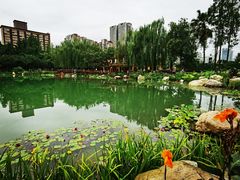 -雲记卢妈冷锅串串(中道街总店)