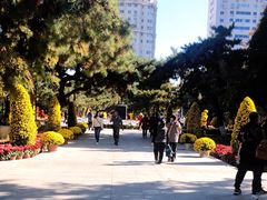 -沈阳中山公园