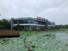 -海天湖公园