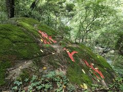 -太湖源风景区
