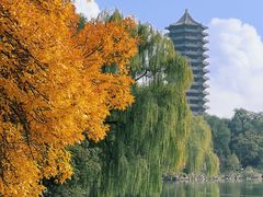 -北大佟园(北京大学店)