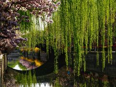 -元大都城垣遗址公园