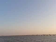 -南汇新城海滩