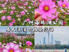 -海珠湖公园