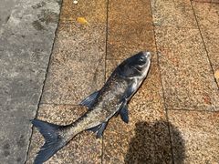 -好灶头妈妈菜·柴火灶台鱼·千岛湖土菜地标美食