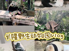 -广州长隆野生动物世界