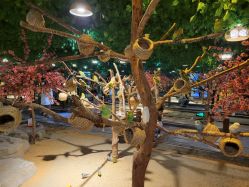 -酷嗒动物文化乐园(cutezoo西溪乐天城店)