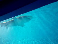 -北戴河圣蓝海洋公园