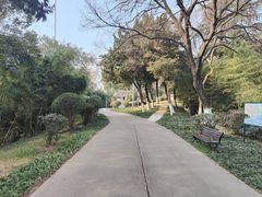 -菊花台公园
