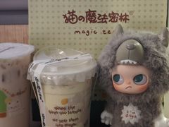 -猫的魔法密林(衣裳街店)