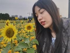 -映月湖中央公园