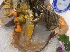 -东海怡品海鲜豆捞(舟宿夜江店)