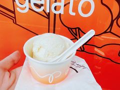 蜂蜜香草荚-Dip in Gelato(富民路店)