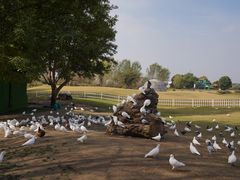 -南通洲际绿博园