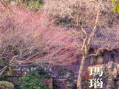 -北山街历史文化街区