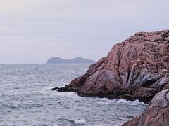 -广东惠东海龟国家级自然保护区