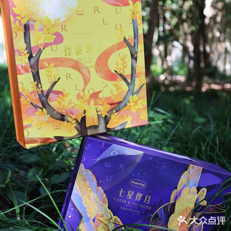 调出位，宠自己，臻享哈根达斯月饼冰淇淋❗