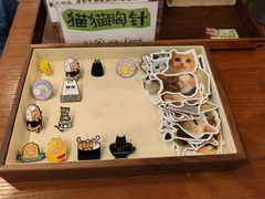 -有猫主题·治愈系猫咖(曾厝垵店)