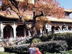 -南岳衡山风景名胜区-南岳大庙