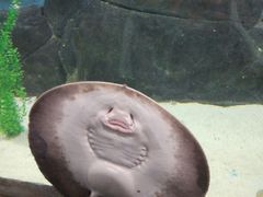 -苏州海洋馆